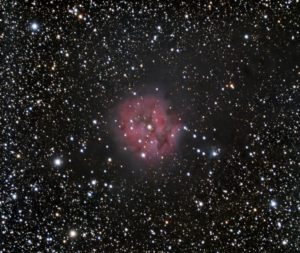 IC5146