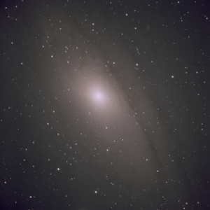 M31
