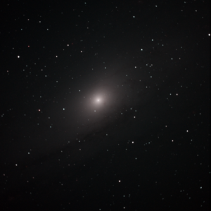 M31